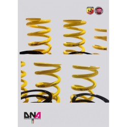 Kit racing molle Track Day per ammortizzatori WRS 500 Abarth